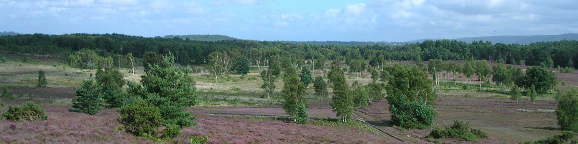Trotton with Chithurst Village Council
